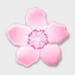 Meet your Posher, Aurora belcea